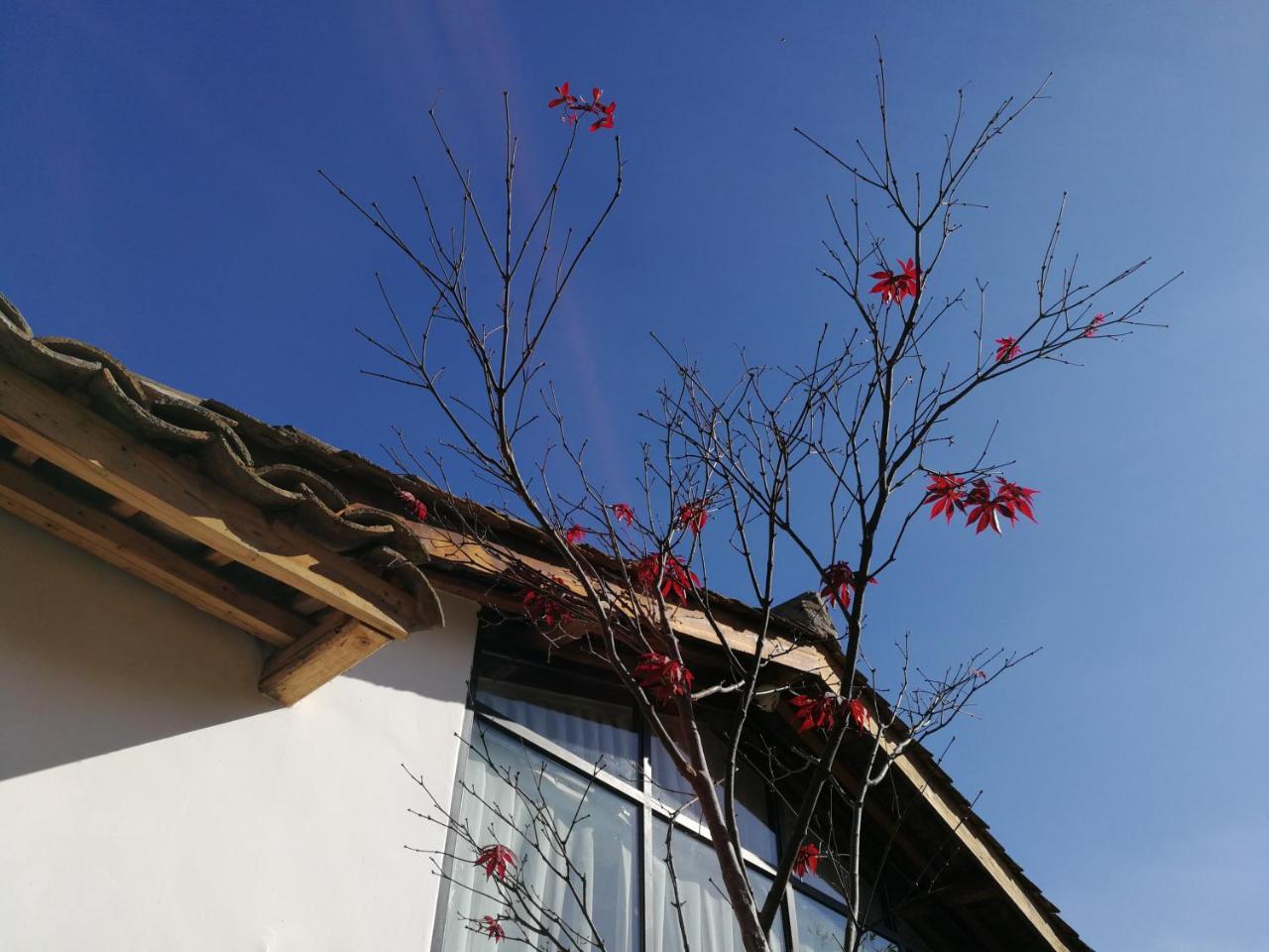 Yan Qi Si He Homestay Kunming Dış mekan fotoğraf